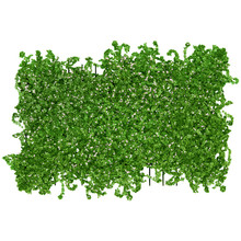 Ivy And Trellis Free Stock Photo - Public Domain Pictures