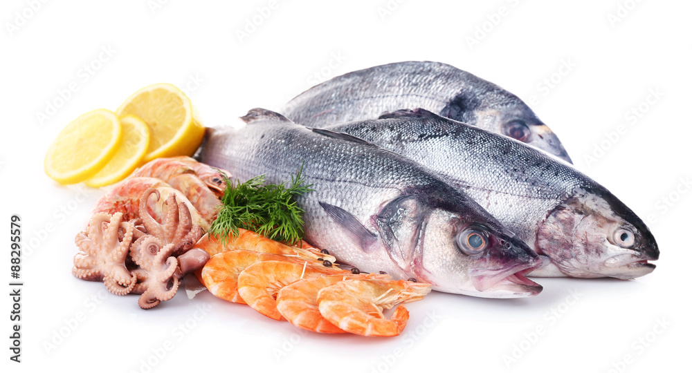 Seafood collection isolated on white