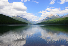 Bowman Lake In Summer, Glacier National Park, Montana, Usa