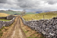 The Pennine Bridle Way Near Stainforth In Ribblesdale, Yorkshire Dales, Yorkshire