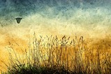Vintage rural view with wild herbs and flying heron