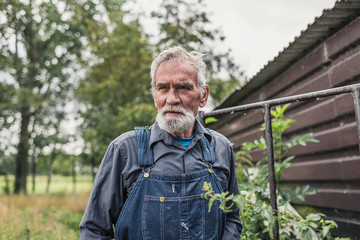 Wall Mural - Serious grey haired senior farmer