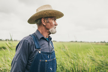 Wall Mural - Thoughtful Senior Male Farmer with Straw Hat