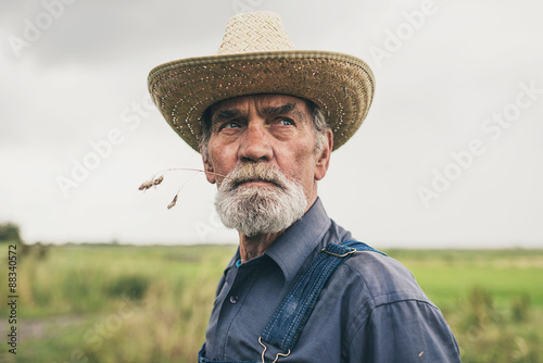 Cuadros en Lienzo Thoughtful senior farmer chewing grass