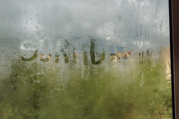 Wall Mural - Raindrops on glass. Sorrow.