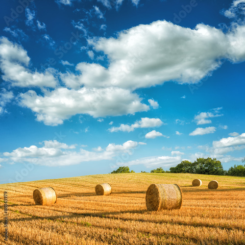 Obraz w ramie Hay in a meadow, fabulous landscapes