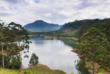 Maussakele Reservoir Between Dalhousie And Hatton, Nuwara Eliya District Of The Central Highlands, Sri Lanka
