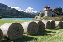 Haystacks Lying On The Bank Of Lake Sils In Silvaplana, By Saint Moritz, Graubunden Switzerland