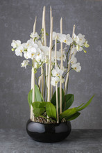 Floral Arrangement With White Orchids.