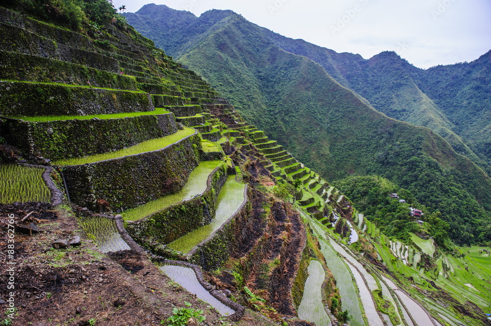 Batad rice terraces, part of the UNESCO World Heritage Site of Banaue ...