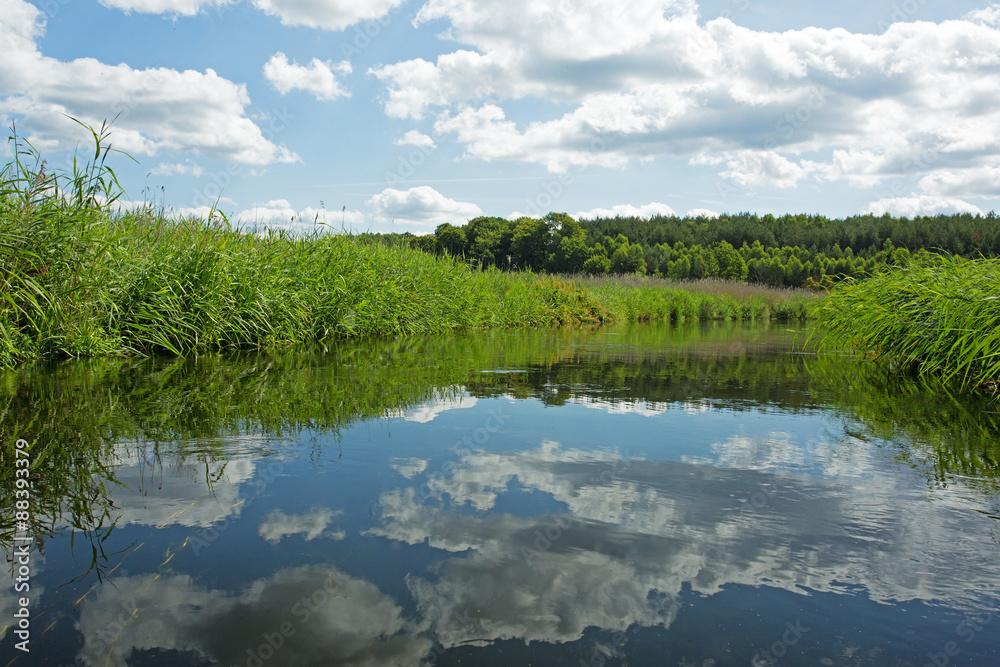 Poland.Brda river in summer.Horizontal view - obrazy, fototapety, plakaty 