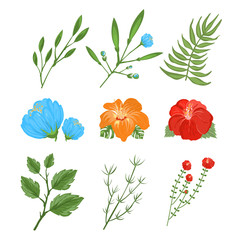 Wall Mural - Set of traditional and tropical flowers 