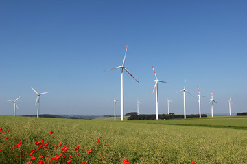 Windmill generator in wide yard / Yard of windmill power generatorunder blue sky, shown as energy industry concept.