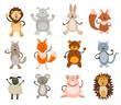 set of cute animals. vector illustration