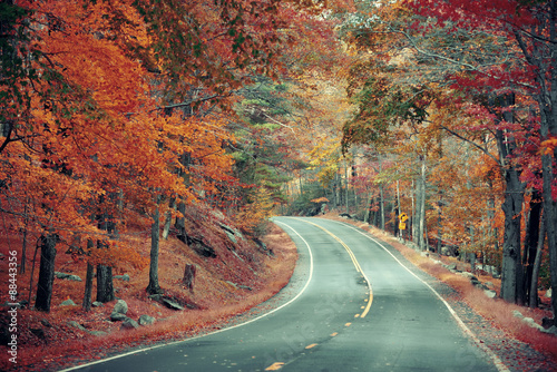 Naklejka na kafelki Autumn road