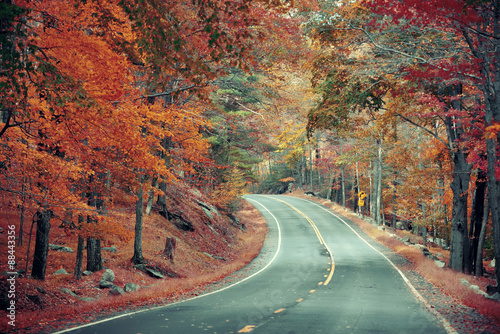 Naklejka - mata magnetyczna na lodówkę Autumn road