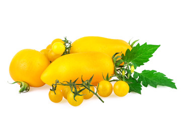 Wall Mural - yellow tomato tomatoes with green leaf isolated on white