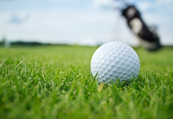 Wall Mural - Golf ball on tee
