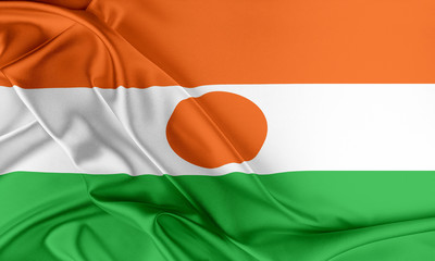 Wall Mural - Niger Flag. 