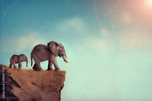 Fotografie, Obraz extinction concept elephant family on edge of cliff