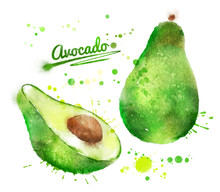 Watercolor Avocado.