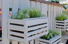 White Wooden Flower Box With White Smal Flowers