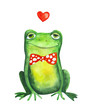 Frog in bow tie. Watercolor