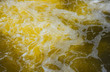 more textures bubbling lager