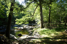 Peaceful Brook Or Small River Surrounded By Green Trees On A Sunny Summer Day In Rural Area Of The Poconos, In PA, United States.
