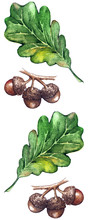 Watercolor Three Oak Green Leaf Acorn Seed Seamless Pattern Background