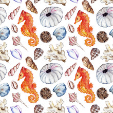 Watercolor Sea Ocean Seahorse Seashell Coral Reef Polyp Ammonit Urchin Seamless Pattern Background