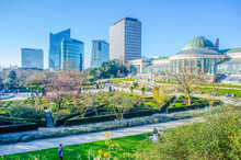 The Jardin Botanique And Modern Skyscrapers In Brussels, Belgium