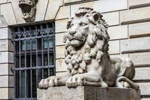 Lion Sculpture In Hamburg Old Town, Germany, Police Station