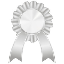 Silver Award Badge