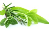 Fototapeta Panele - Fresh herbs