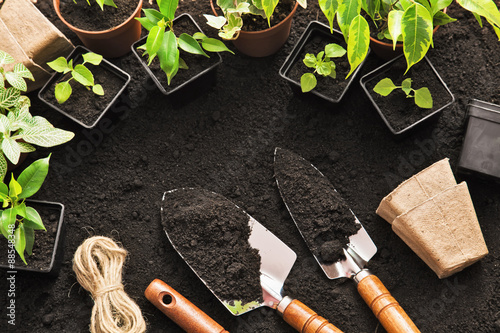 Fotografía Herramientas de jardinería y plantas