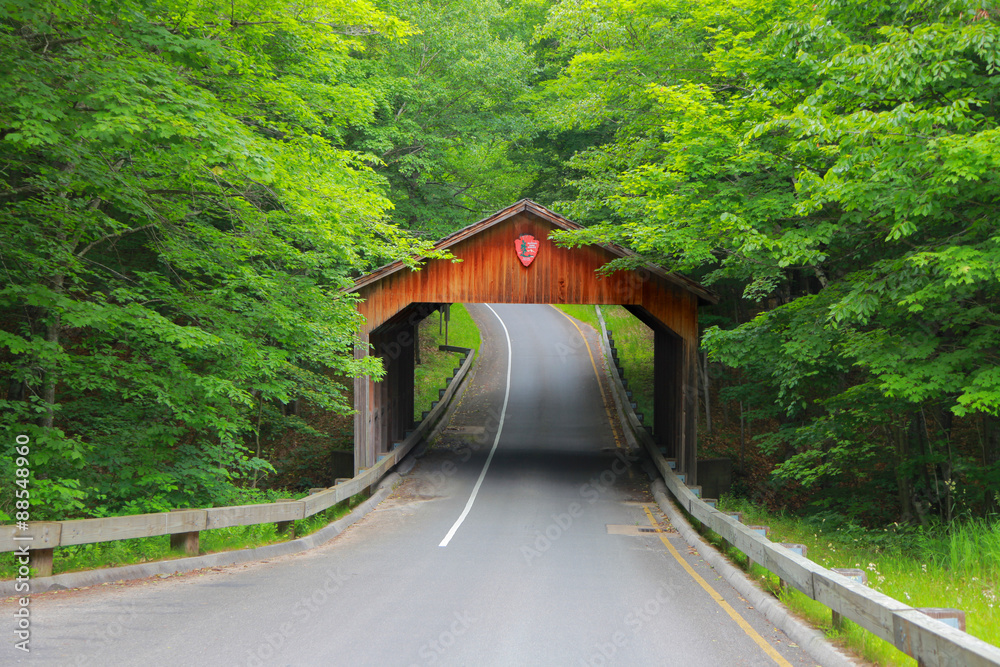 Covered bridge in Michigan Stock Photo | Adobe Stock