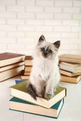 Cute little cat with books on light background