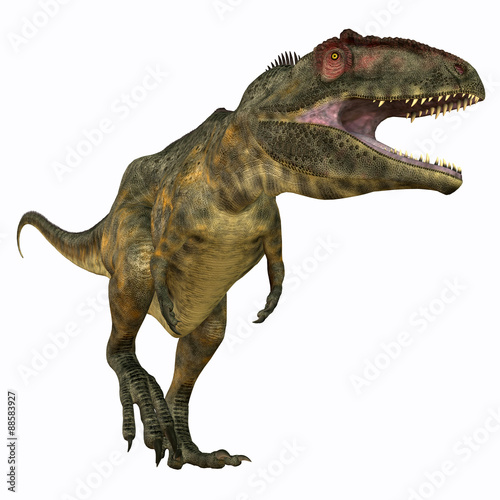 Fotografie, Obraz Giganotosaurus Carnivore - Giganotosaurus was a theropod carnivorous dinosaur that lived in the Cretaceous Period of Argentina