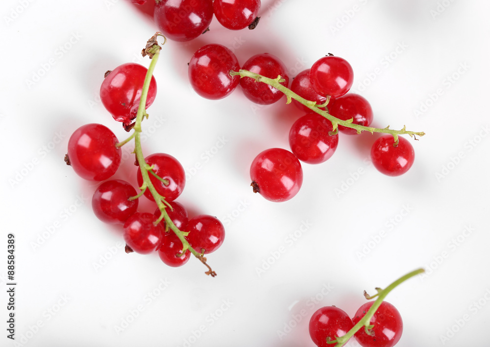 Fresh red currants on plate close up