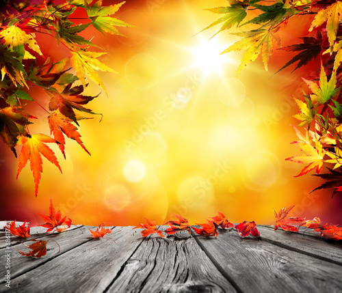 Autumn background with red falling leaves on wooden plank