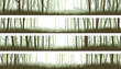 Horizontal banners forest with trunks and clearing in woods.