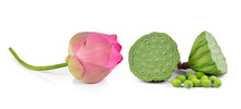 Lotus Seed And Pink Lotus Isolate White Background