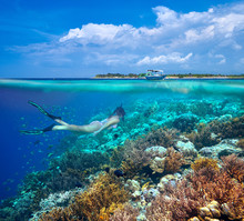 A Woman Snorkeling Near The Beautiful Coral Reef.