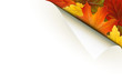 Papierecke mit bunten Herbstblättern
