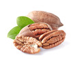 Pecan nuts in closeup
