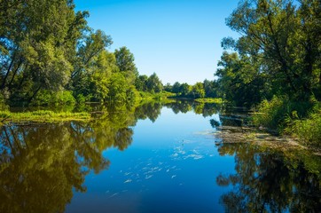  Sunny day on the quiet river