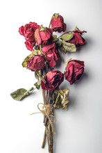 Tied Dried Roses