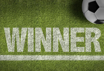 Wall Mural - soccer field with the text: winner