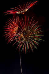 firework isolated on black background, sumida river firework fes